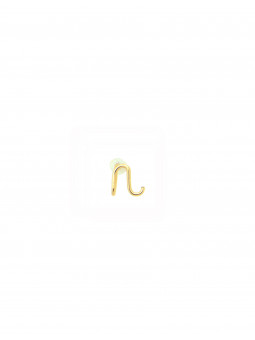 Mono boucle d'oreille...