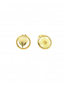 Boucles d'oreilles clous...