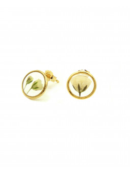 Boucles d'oreilles clous...