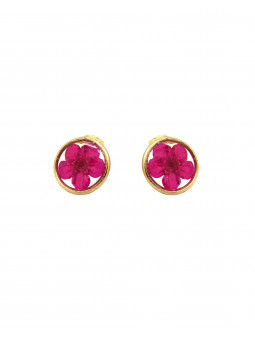 Boucles d'oreilles clous...