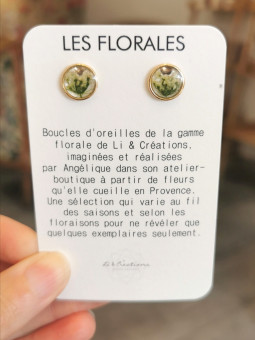 Boucles d'oreilles clous...