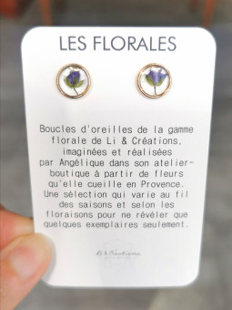 Boucles d'oreilles clous...