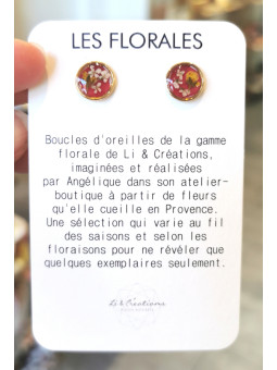 Boucles d'oreilles clous...