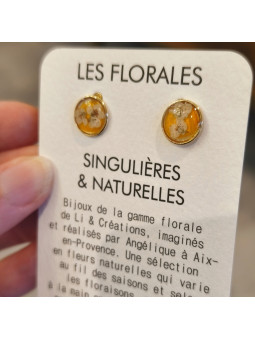 Boucles d'oreilles clous...