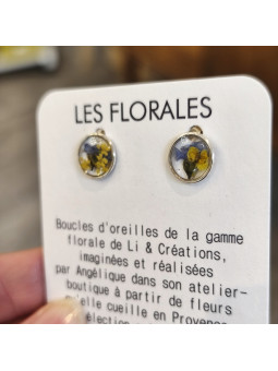 Boucles d'oreilles clous...