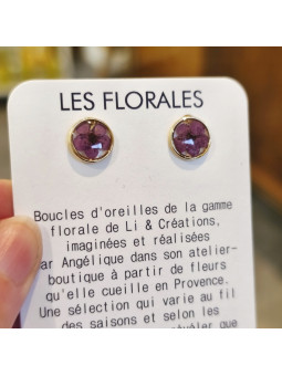 Boucles d'oreilles clous...