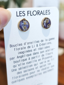 Boucles d'oreilles clous...