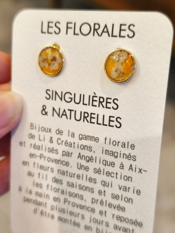 Boucles d'oreilles clous...
