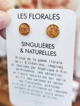 Boucles d'oreilles clous...