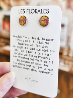 Boucles d'oreilles clous...