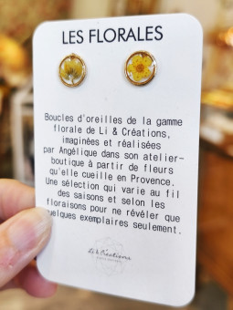 Boucles d'oreilles clous...