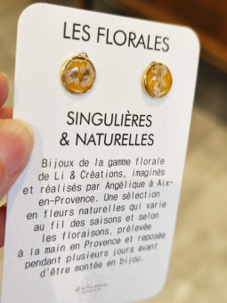 Boucles d'oreilles clous...